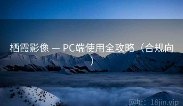 栖霞影像 — PC端使用全攻略（合规向）
