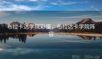 布拉卡达学院彩蛋，布拉达卡学院阵容