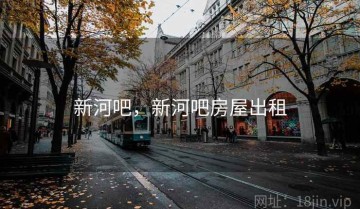 新河吧，新河吧房屋出租