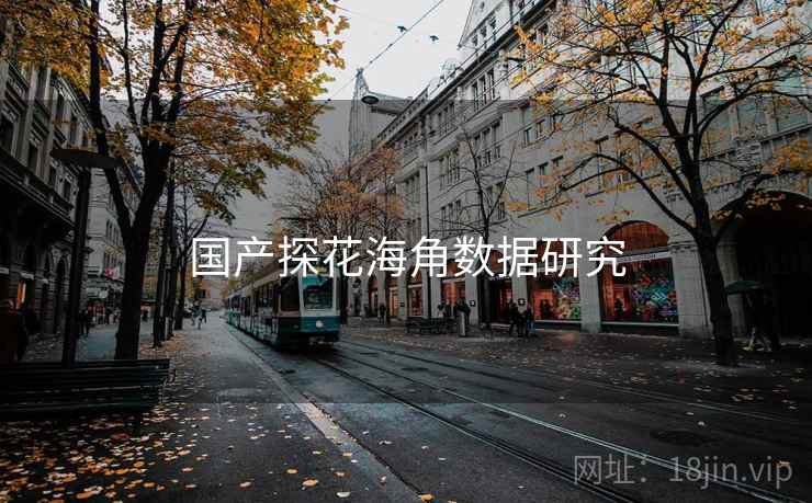 国产探花海角数据研究