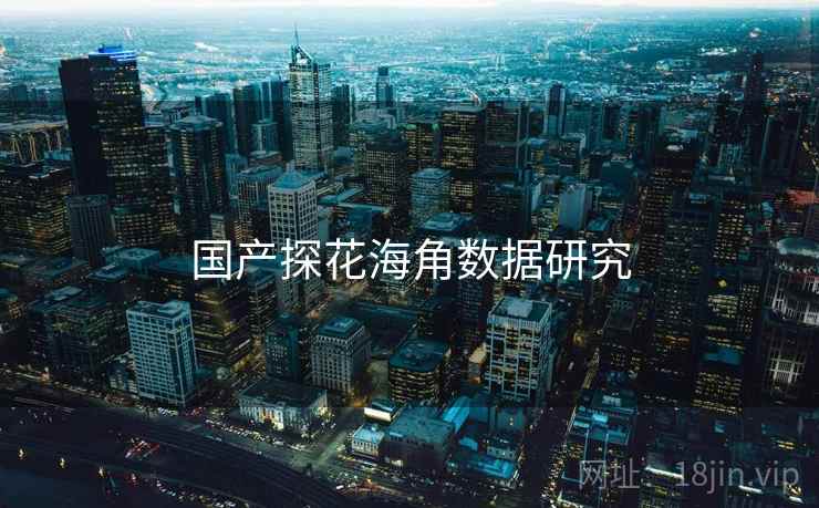 国产探花海角数据研究
