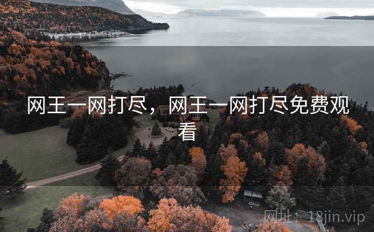 网王一网打尽，网王一网打尽免费观看