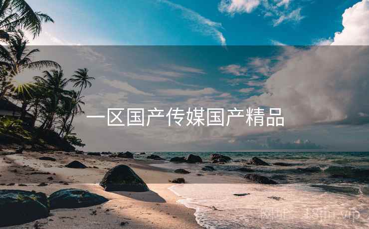 一区国产传媒国产精品