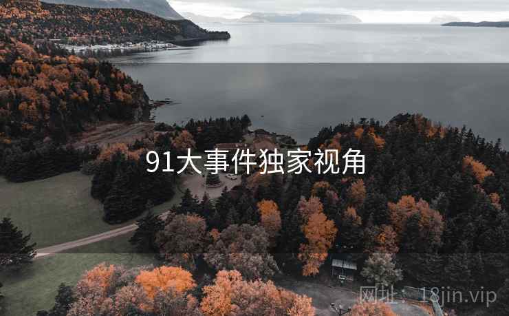 91大事件独家视角