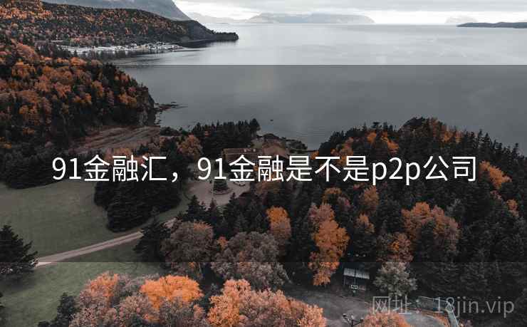 91金融汇，91金融是不是p2p公司