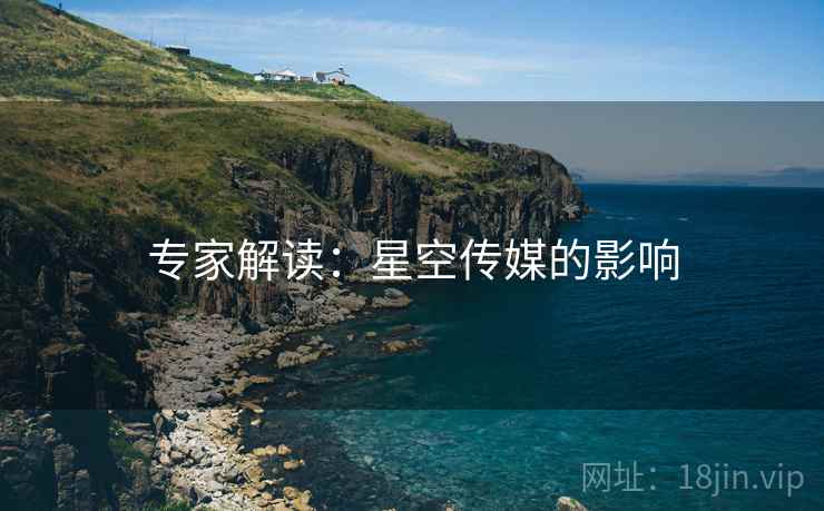 专家解读：星空传媒的影响