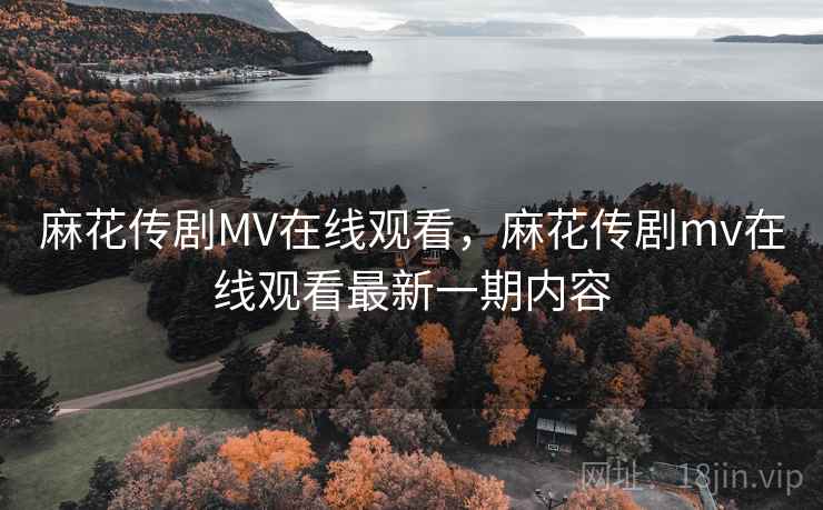 麻花传剧MV在线观看，麻花传剧mv在线观看最新一期内容