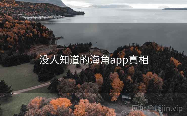 没人知道的海角app真相